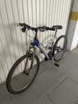 Bicicleta FDR 12SY