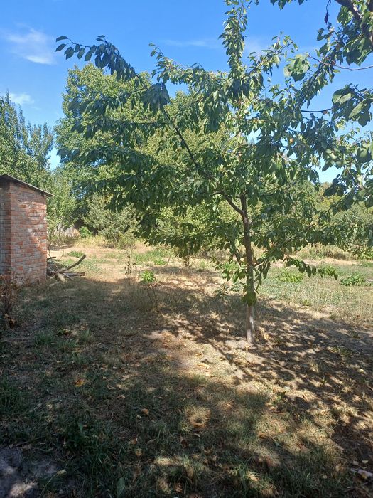 Продам будинок в смт Опішня