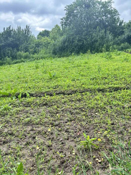 Зімельна ділянка 30 сот. с. Іванковичи під забудову