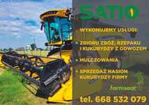Usługa młócenia zbóż, kukurydzy i rzepaku – kombajn New Holland