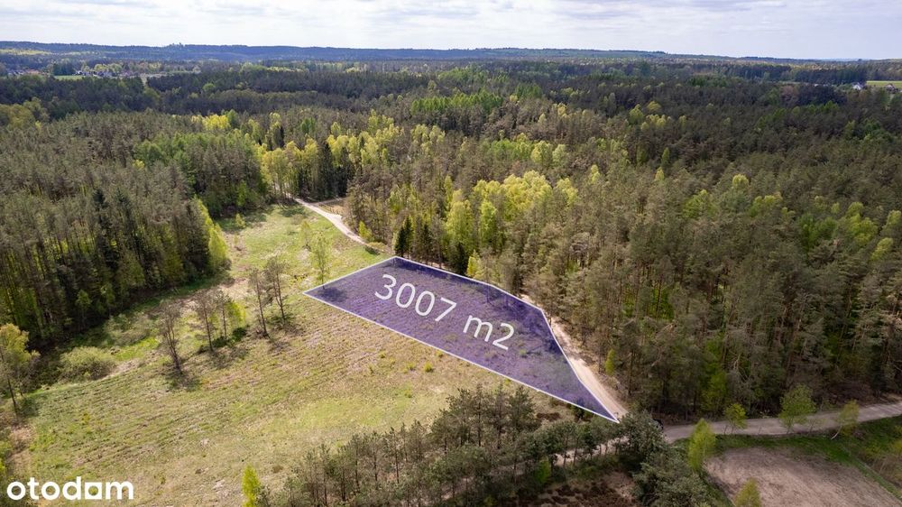 Malownicza działka na sprzedaż – Bieszkowice, ul .Polna