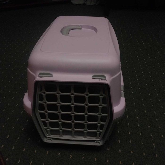 Набір для котика