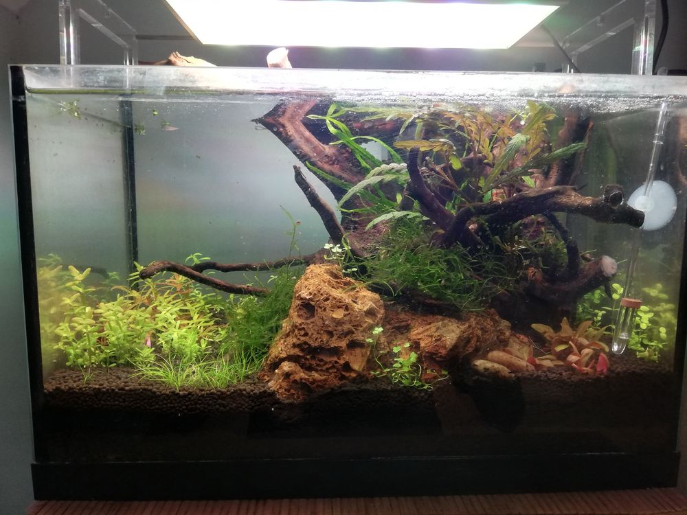 Akwarium 25l z strefa nadwodna