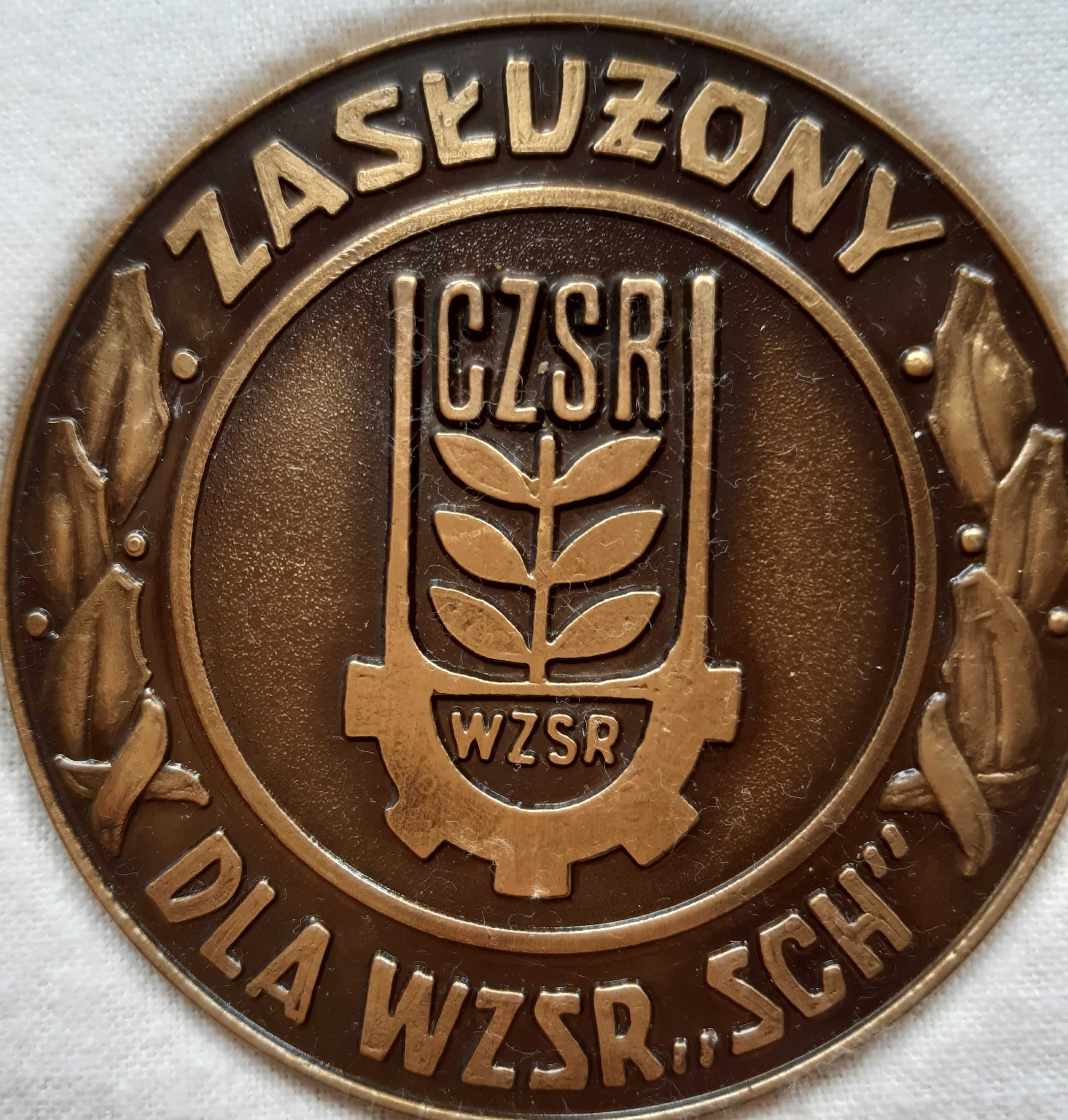 Odznaka Zasłużony dla WZSR medal odznaczenie