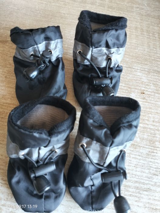 Речі для маленьких порід собак