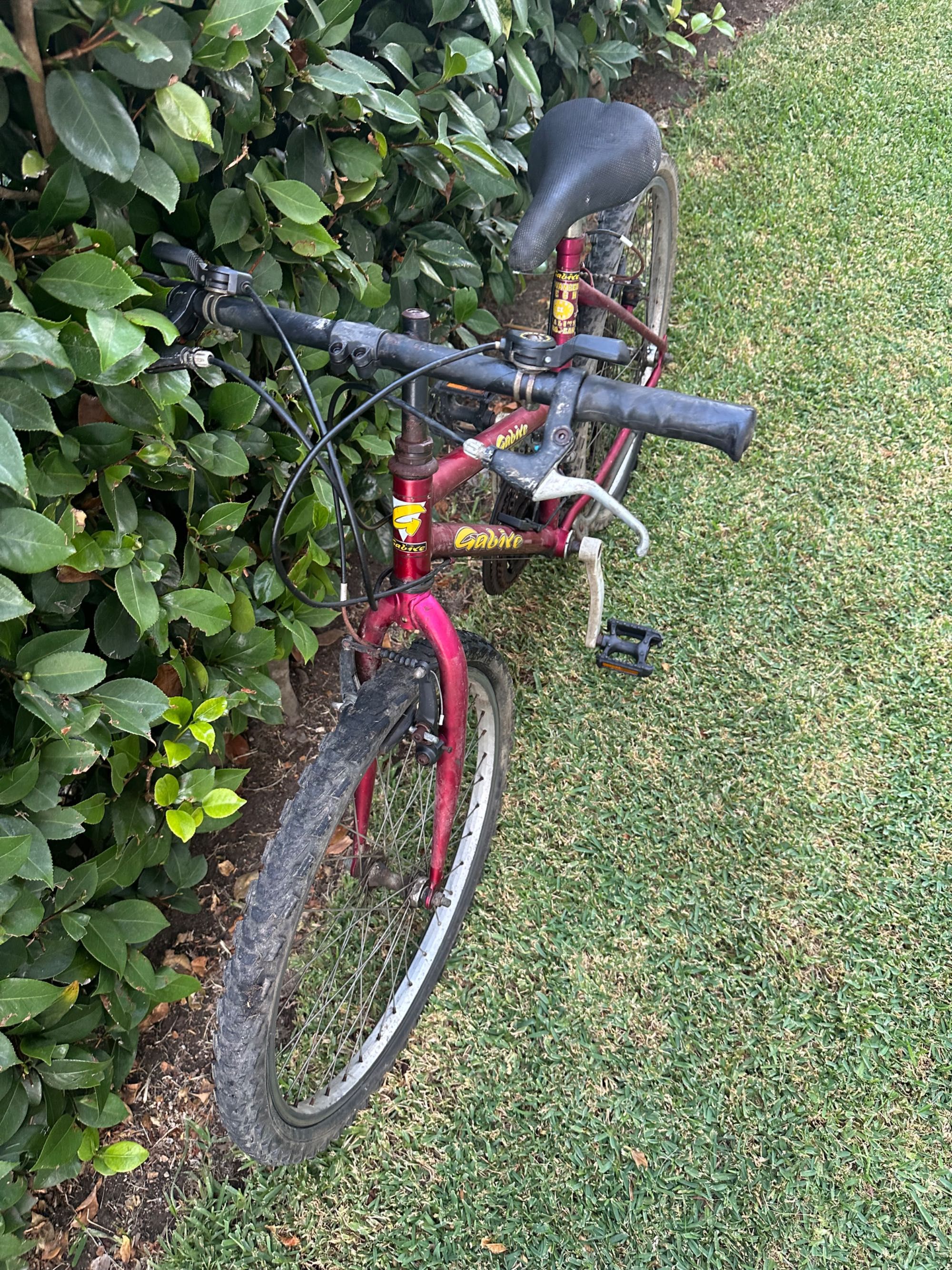 Conjunto de Bicicletas