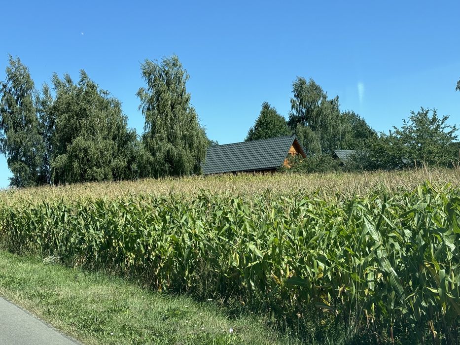 Domek letniskowy w parku krajobrazowym, cisza i spokój na Roztoczu
