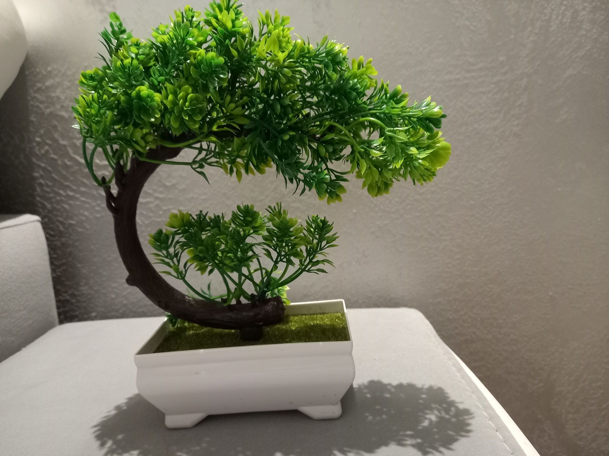 Piękne ozdobne  drzewko Bonsai