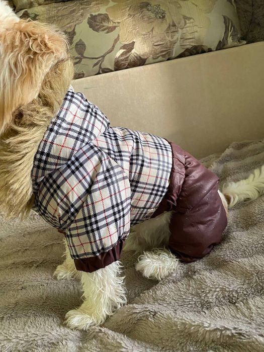 Комбінезон для собаки