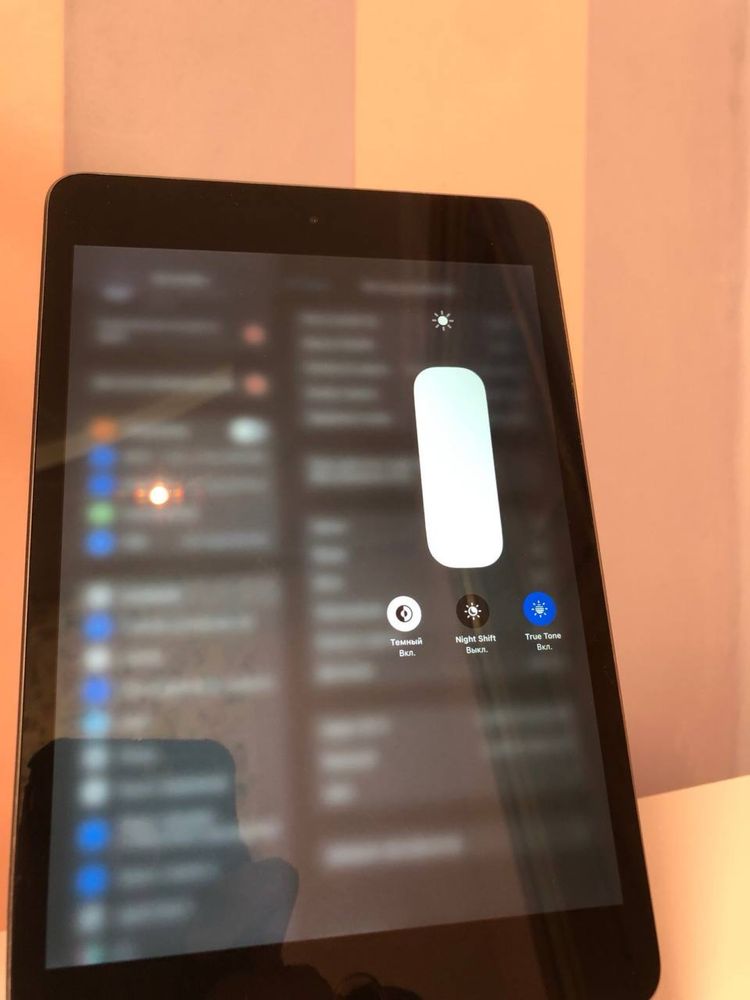 iPad Mini 5 Space Gray