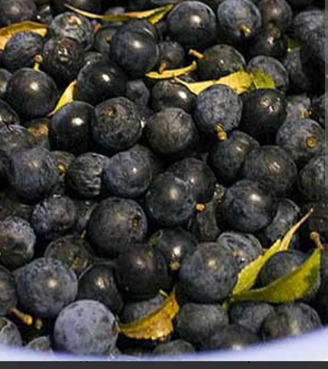 Консервація, варення, джем