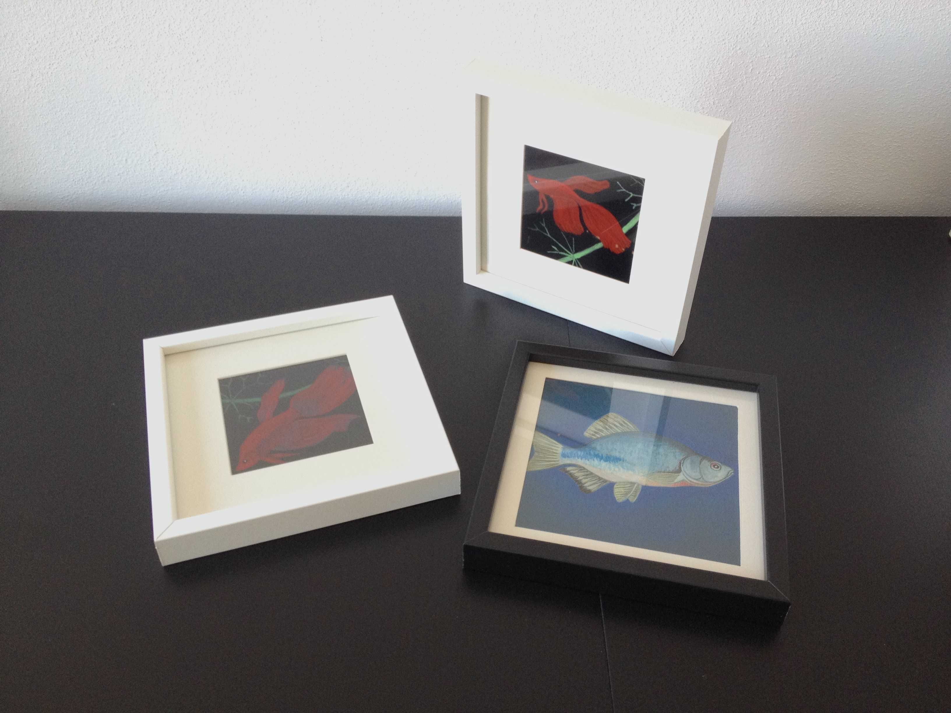 Molduras com Ilustrações de Peixes