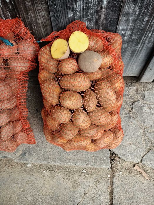 Ziemniaki jadalne Soraya, Lawenda