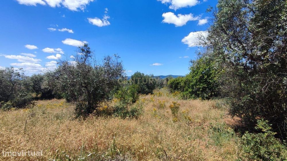 Terrenos Rústicos com 6250 m2, Ninho do Açor , Castelo Branco