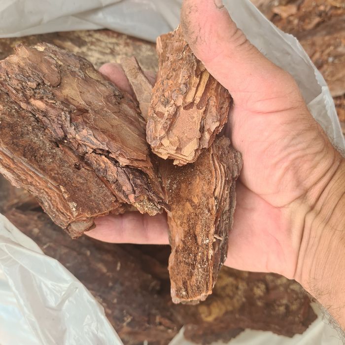 Kora sosnowa gruba frakcja 60 l