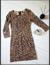 Сукня, платья, хіт продажу 2023, леопард h&m