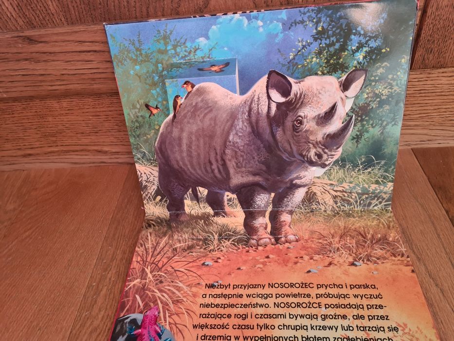 Zwierzęta 4 książki pop-up