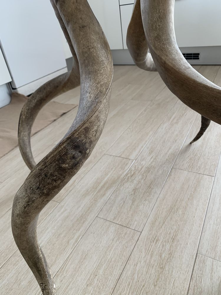 Pés para mesa em chifre verdadeiro