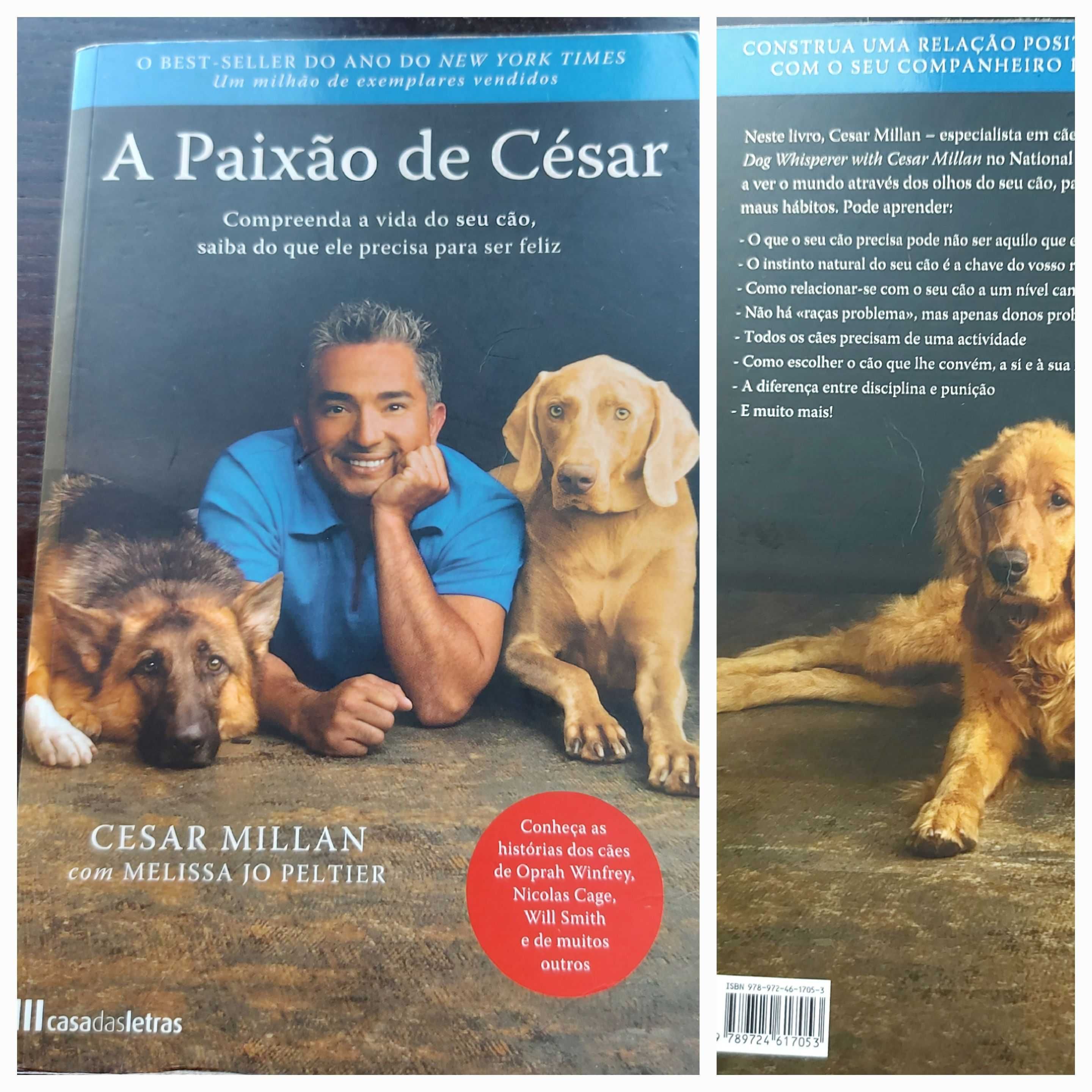 Livros Sobre Cães como Novos - Carnaxide