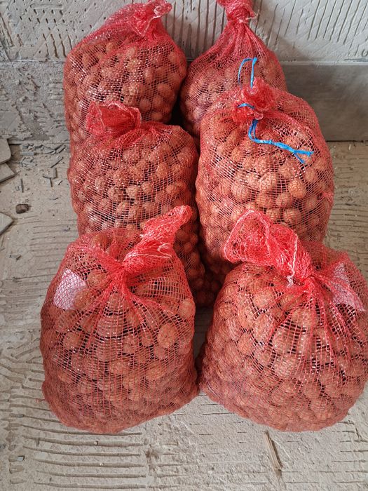 Nozes de Lamego 5€