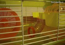 Gaiola e Transportador para Hamsters c/ acessórios