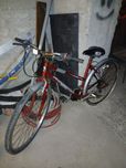 Rower damski FREESPIRIE