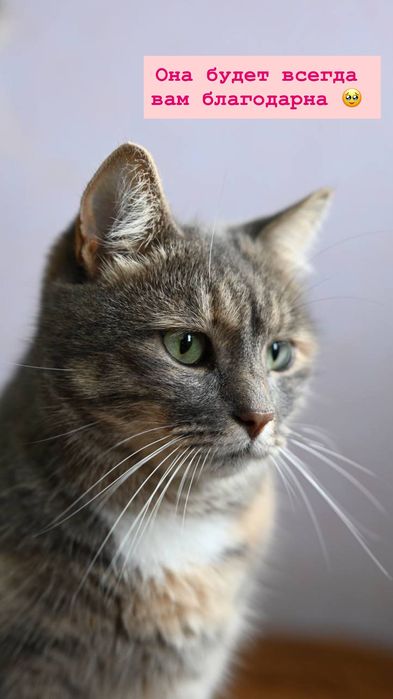 Грустная Мэри из приюта