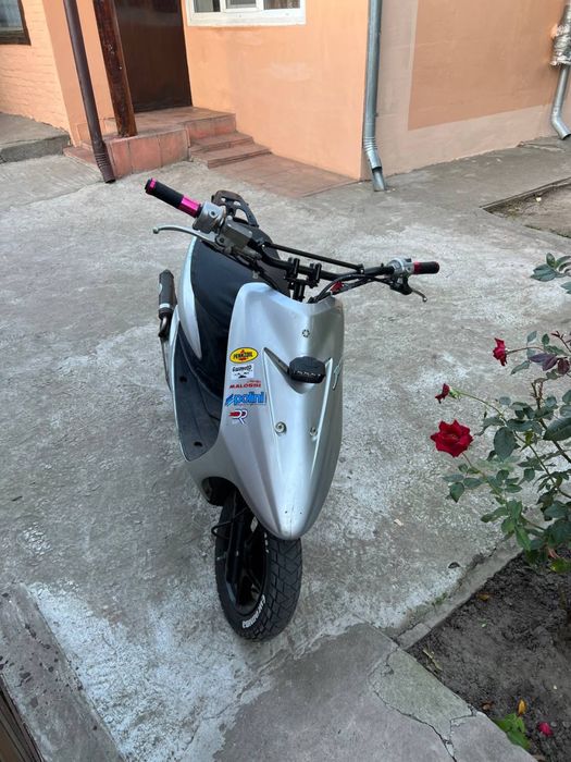 Yamaxa Jog sa 16