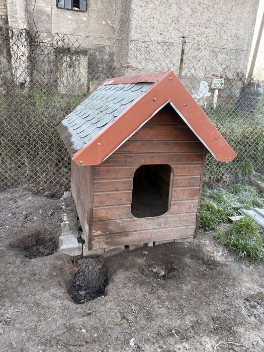 Sprzedam duza bude dla psa