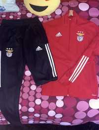 Fato treino SLBenfica - adidas