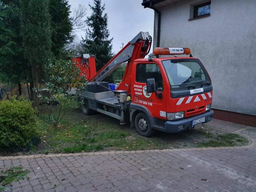 Podnośnik wycinka i pielęgnacja drzew czyszczenie działek rębak