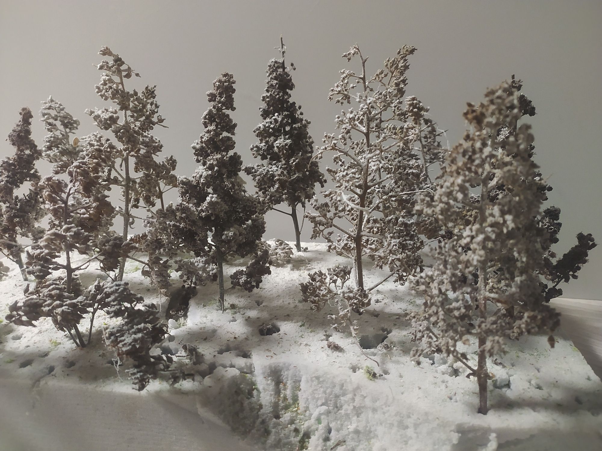 Drzewka na makietę  18 cm- iglaki zimowe - zestaw