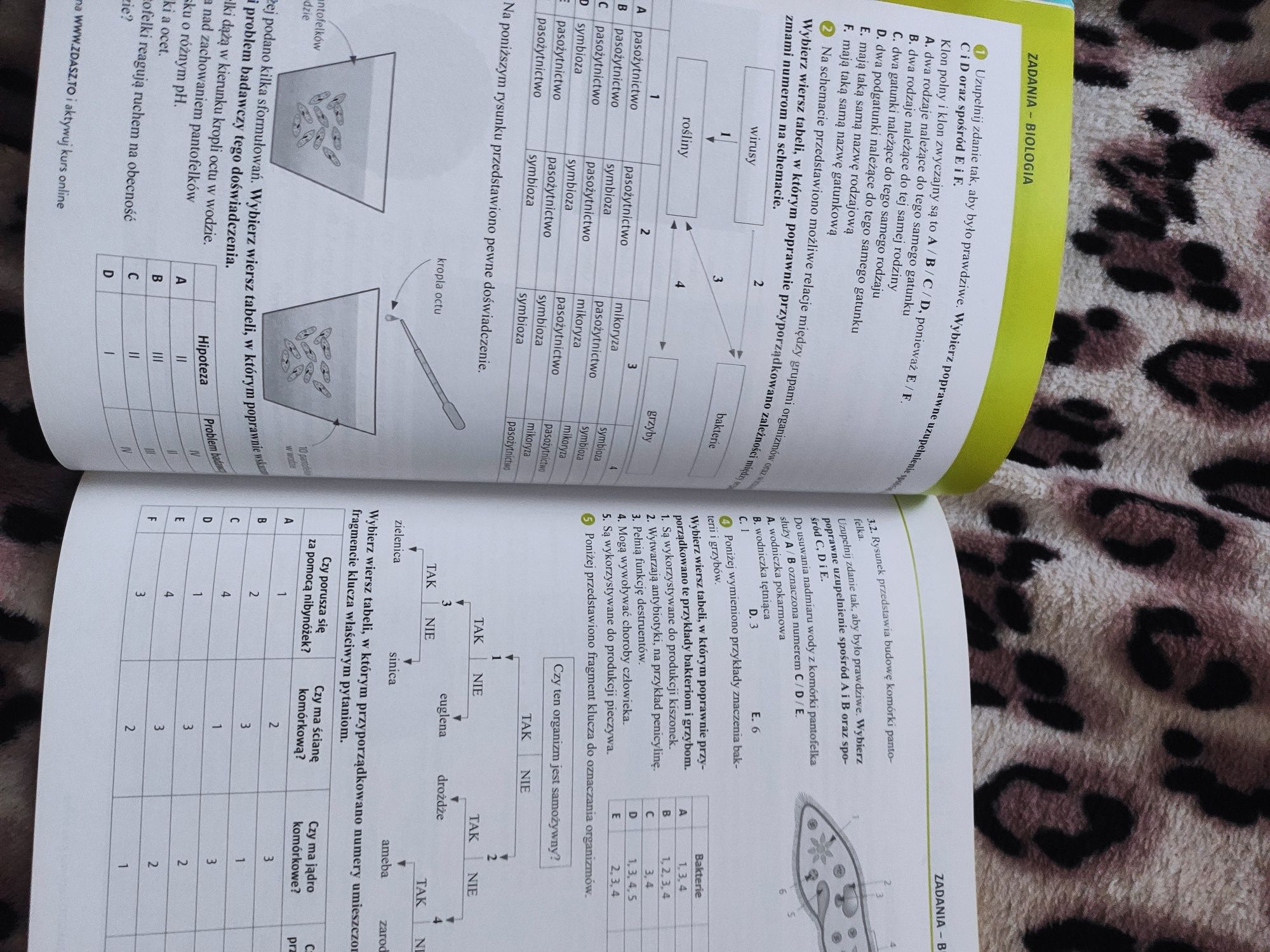 Repetytorium matematyczno-przyrodnicze