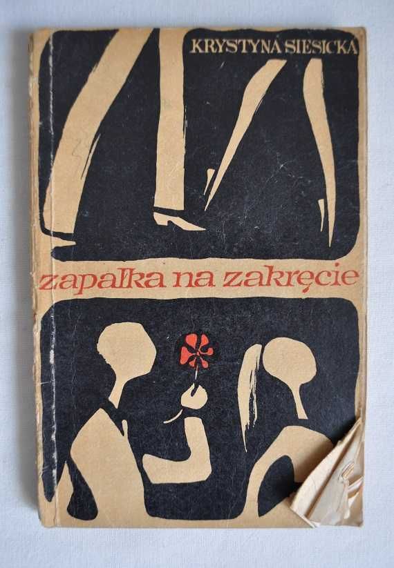 Zapałka na zakręcie - Krystyna Siesicka