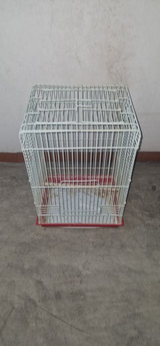 Gaiola pássaros grande