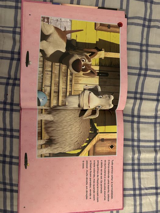 Livro marcha e o urso