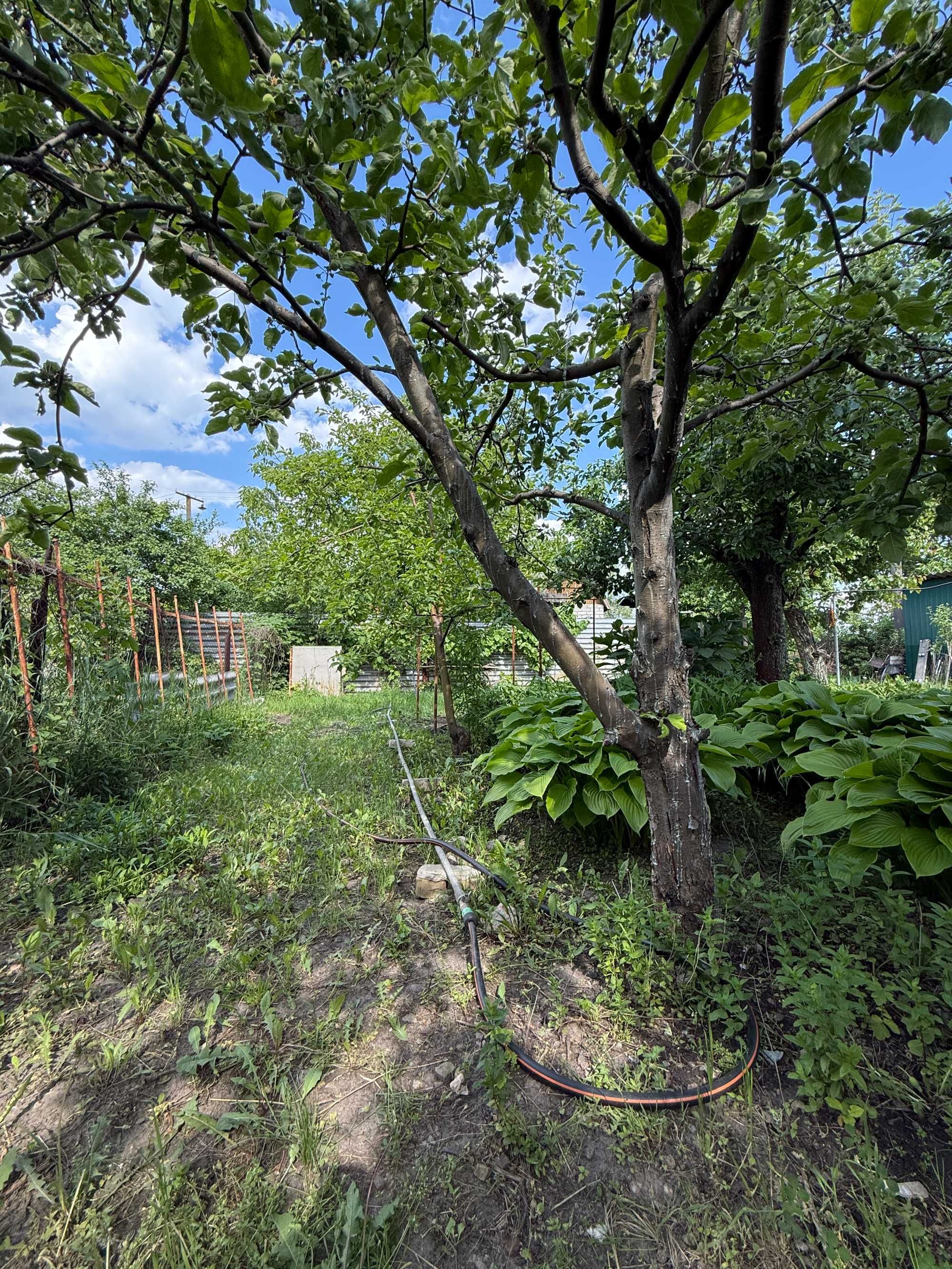 Продам дачу в Подгородном