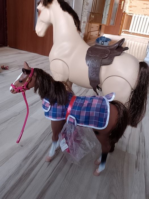 Koń koniki większy i mniejszy