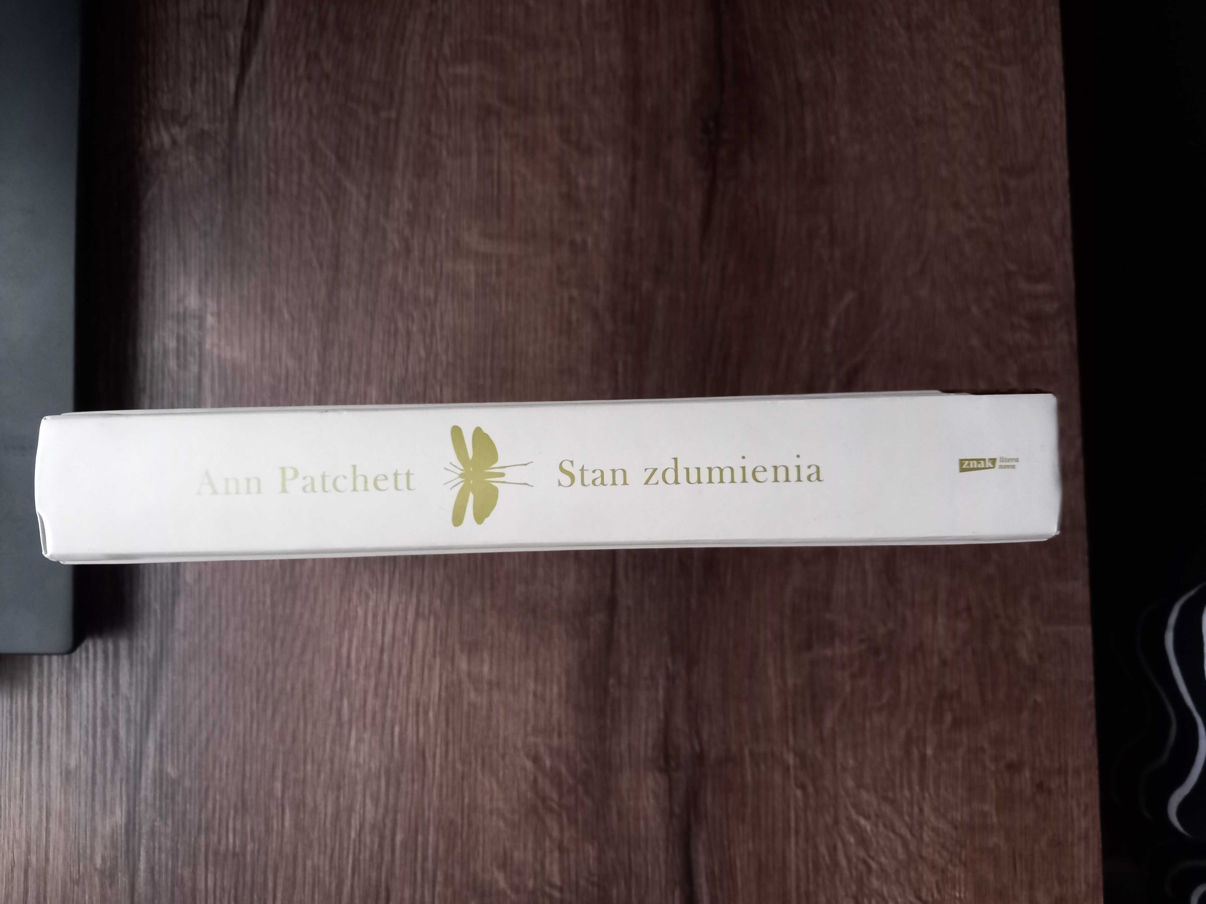 Stan zdumienia - Ann Patchett