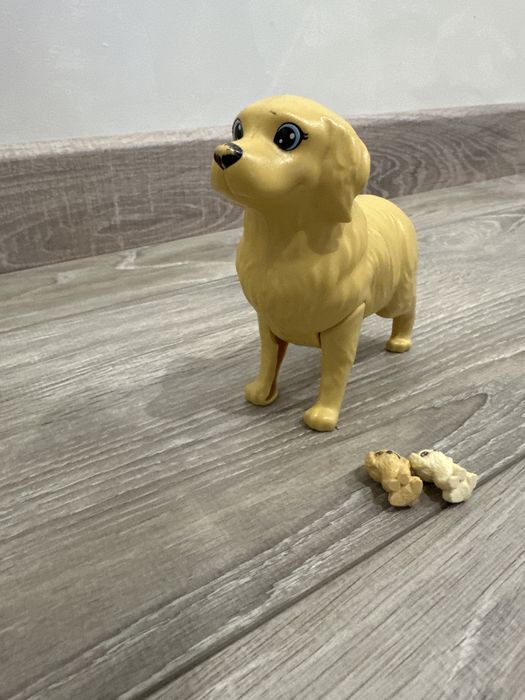 Собачка з куколкою