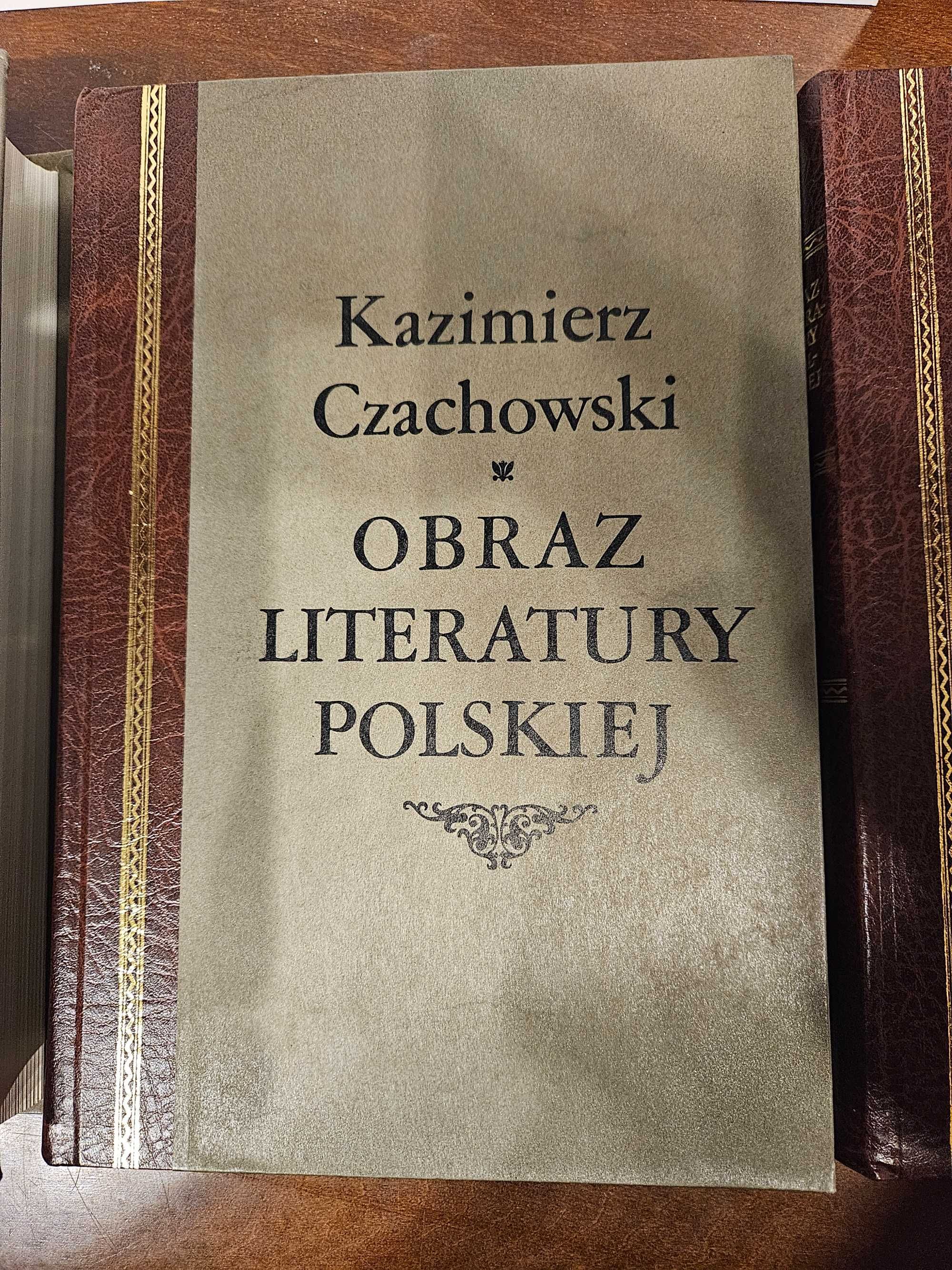 Obraz literatury polskiej Kazimierz Czachowski (jak nowa)