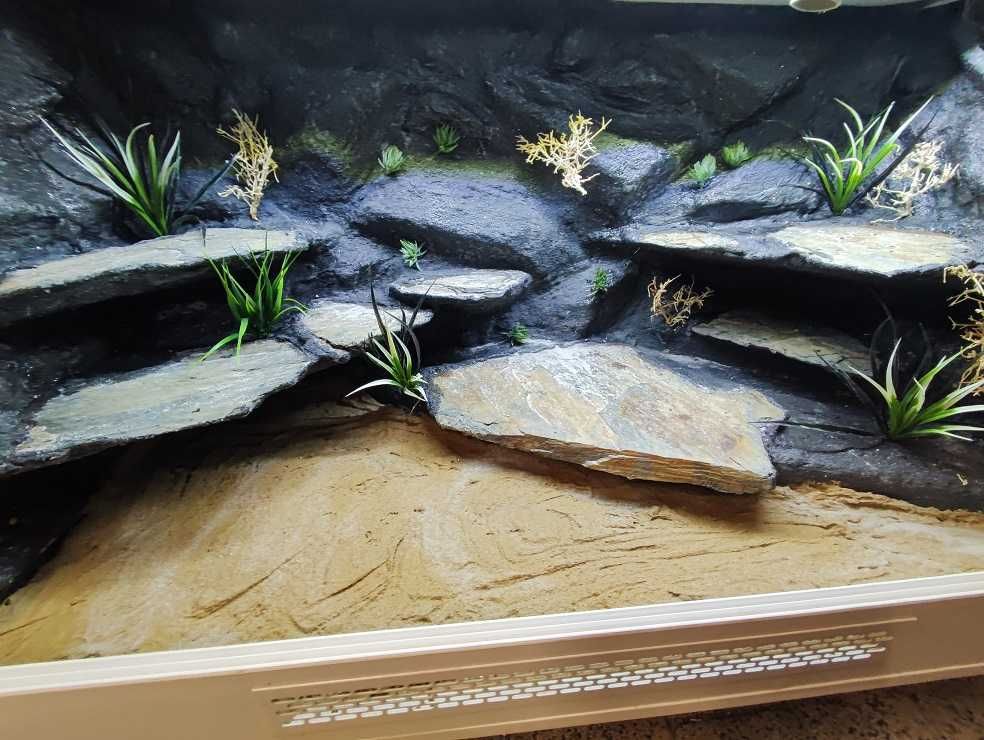 Terrarium dla agamy brodatej 120x60x60 Petmarket