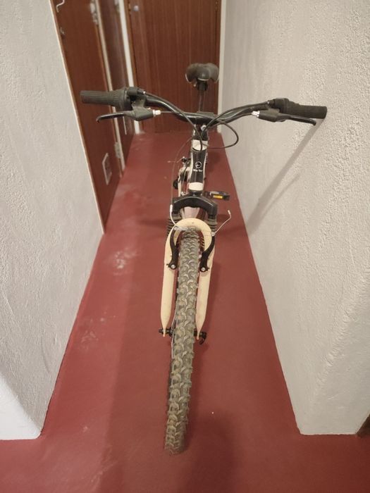 Bicicleta de adulto