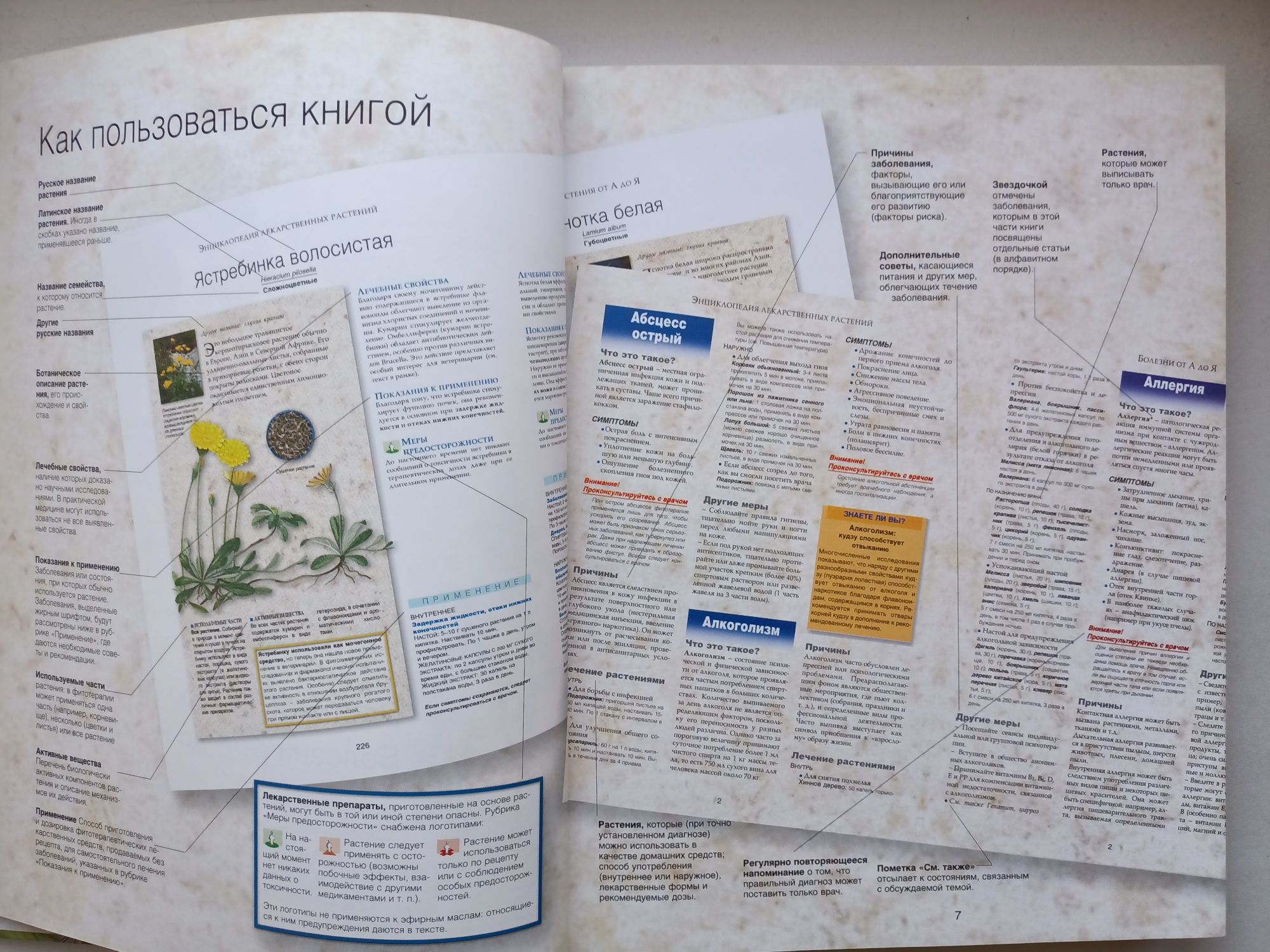 Энциклопедия лекарственных растений