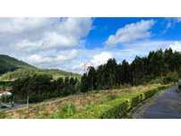 Terreno, Guimarães, Leitões