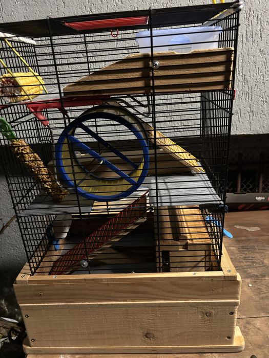 Rozbudowana i dobrze wyposazona klatka dla gryzoni