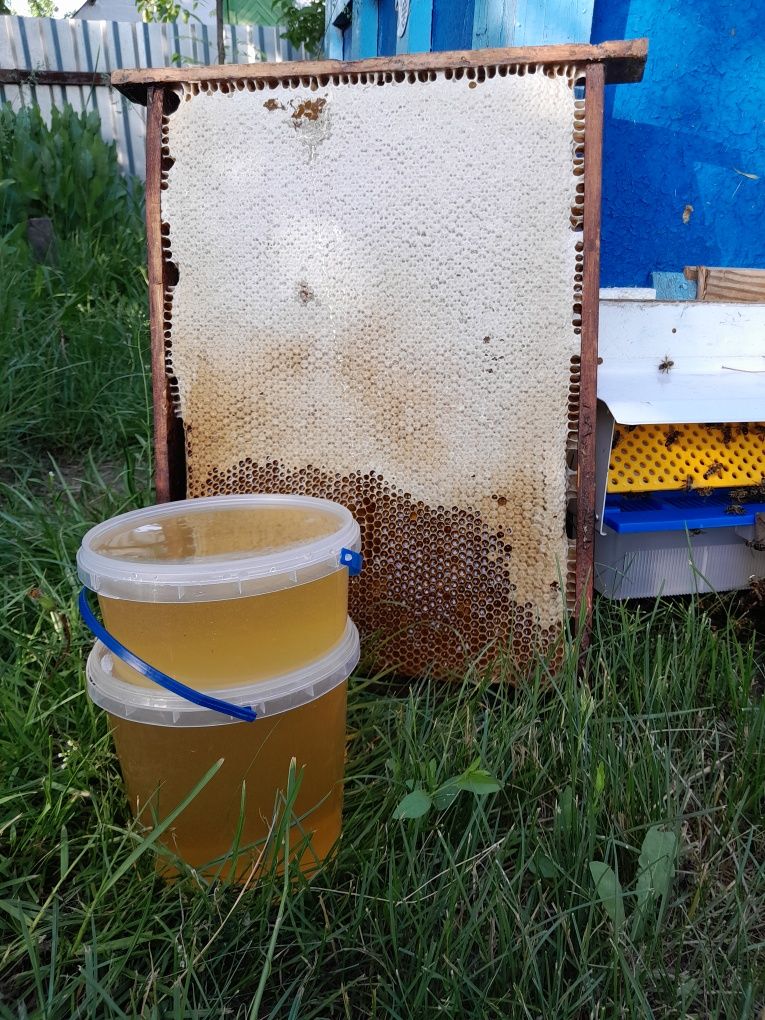 Пропоную свіжий  мед з акації ( також є весняний з ріпаком)