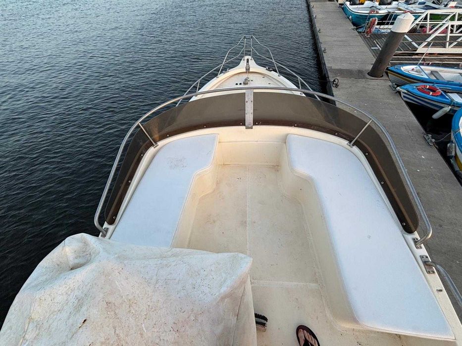 Barco Rodman 1170 IPS