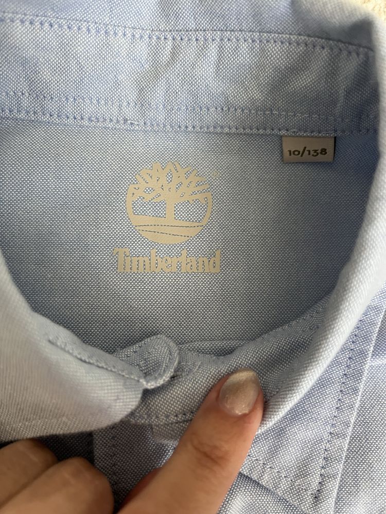 Camisa timberland