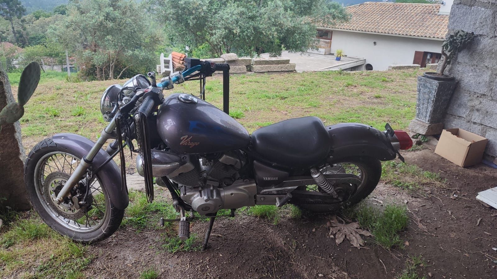 Mota Virago 250cc